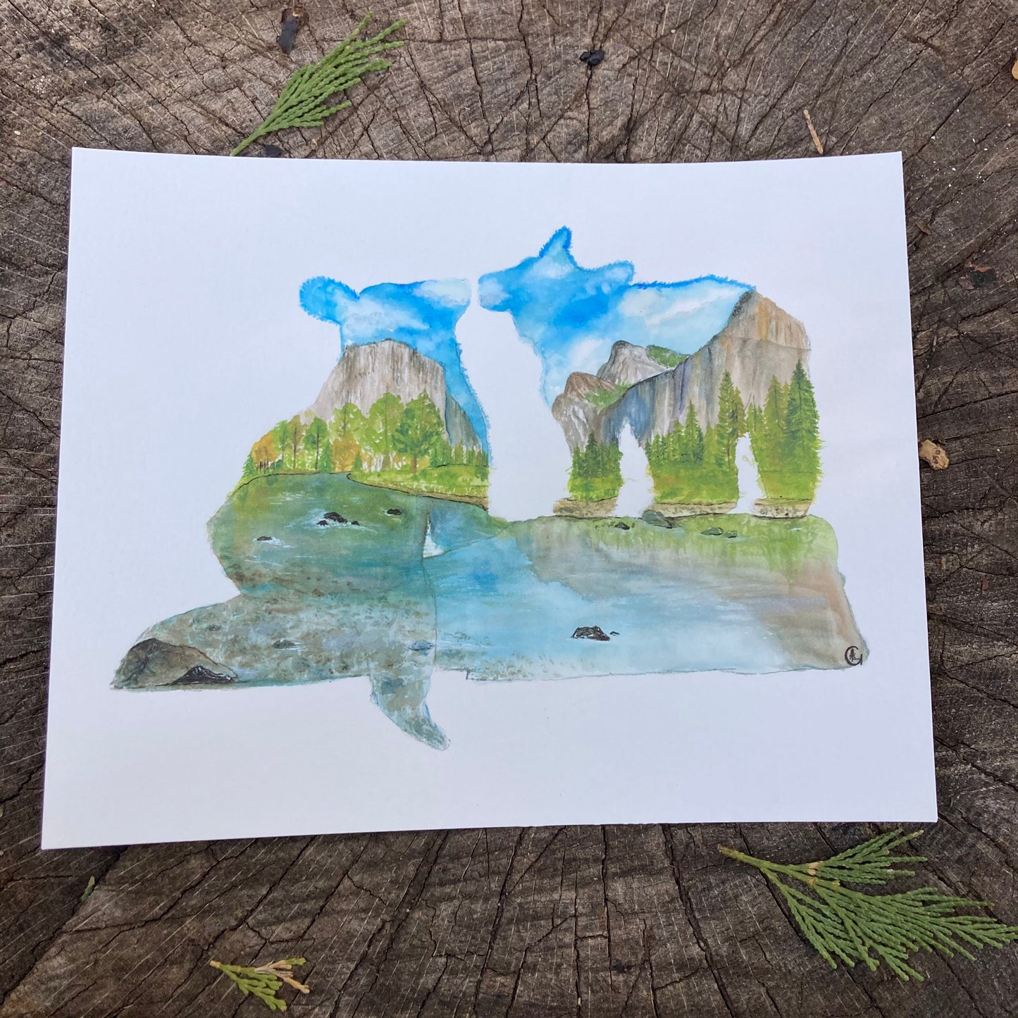 Yosemite Valley Bear Cubs Print