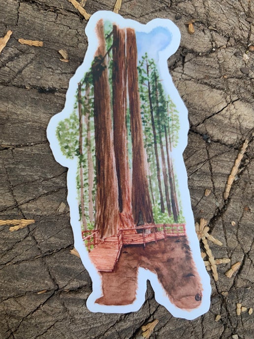 Big Trees Bear Sticker