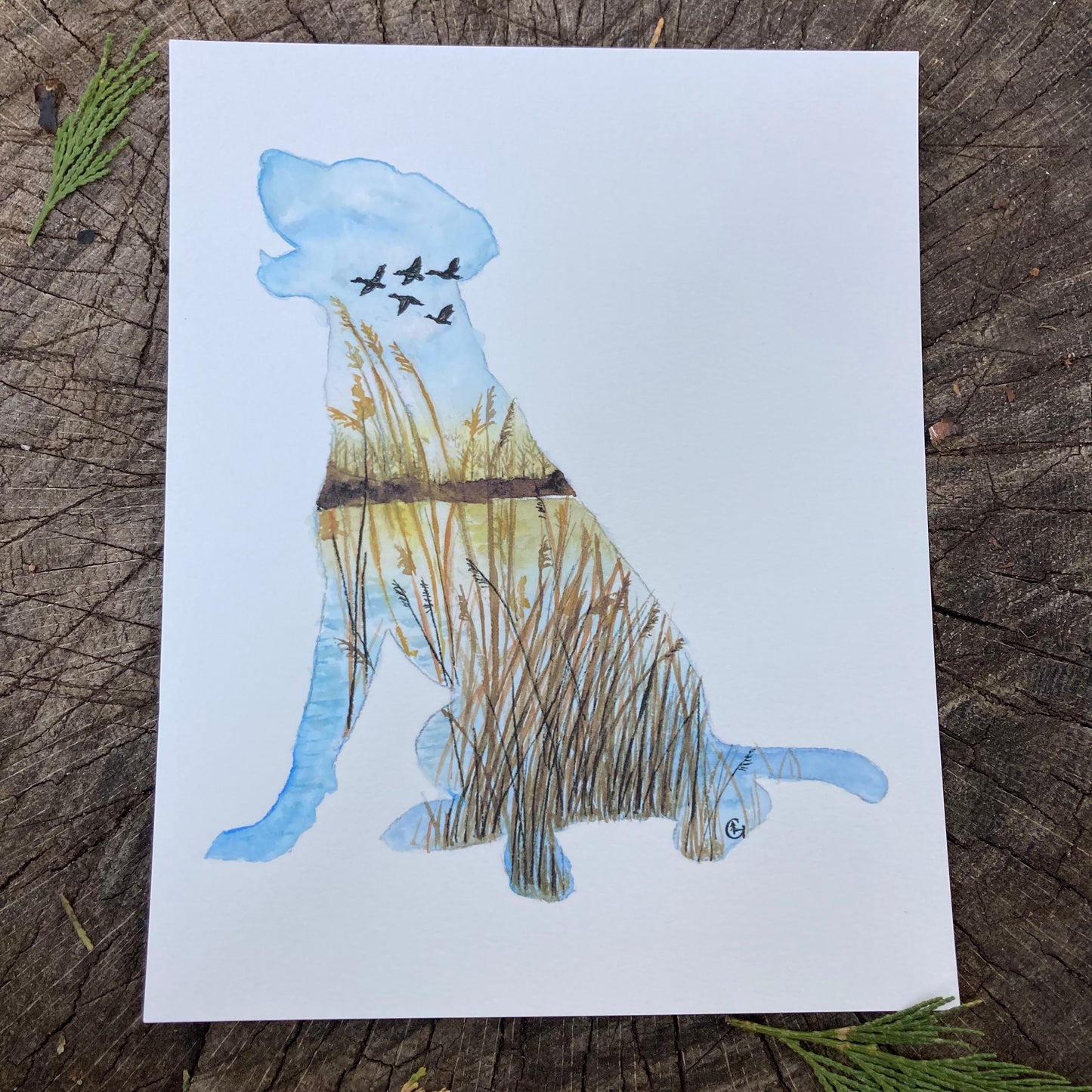 Labrador Pond Dog Print