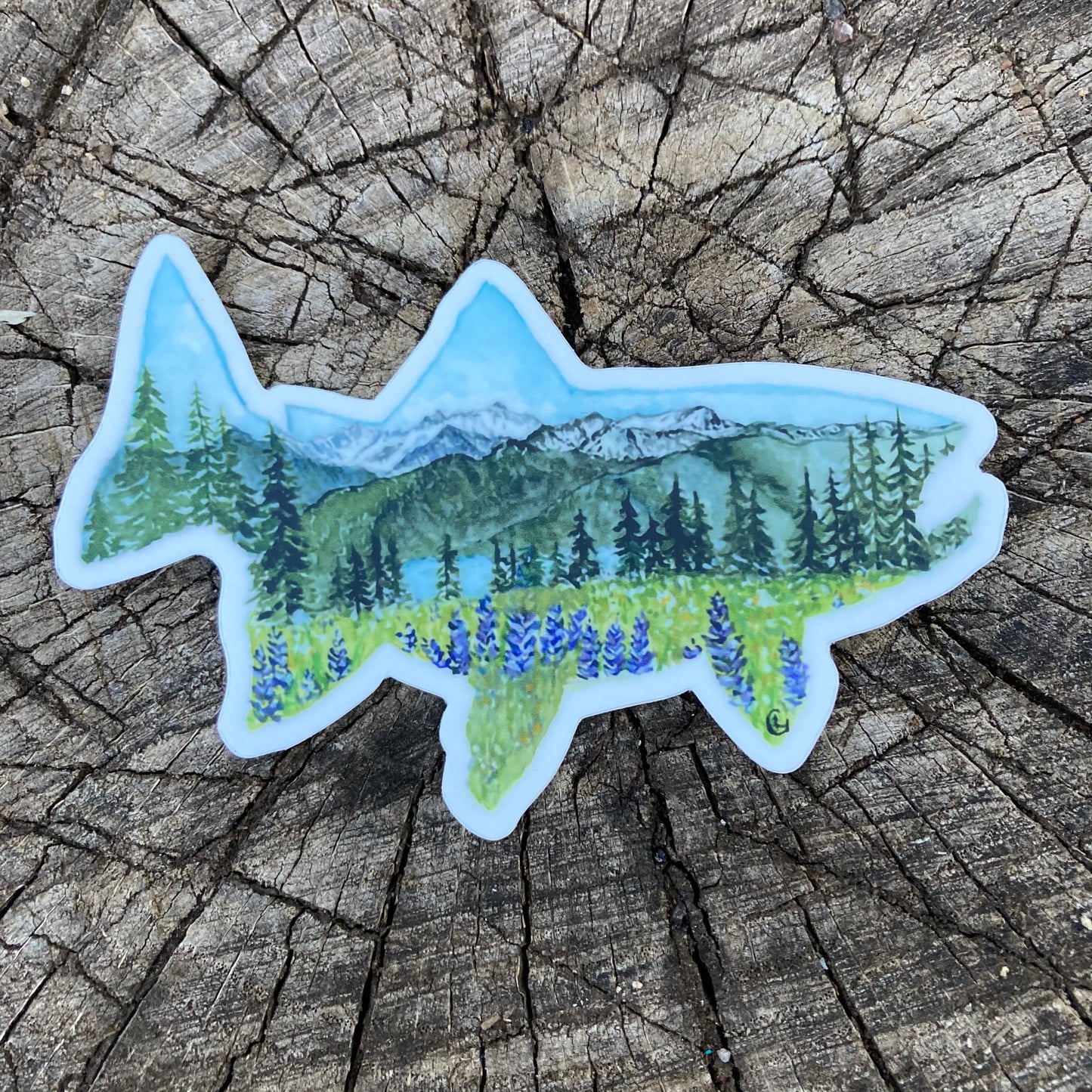 Olympia Washington Fish Sticker