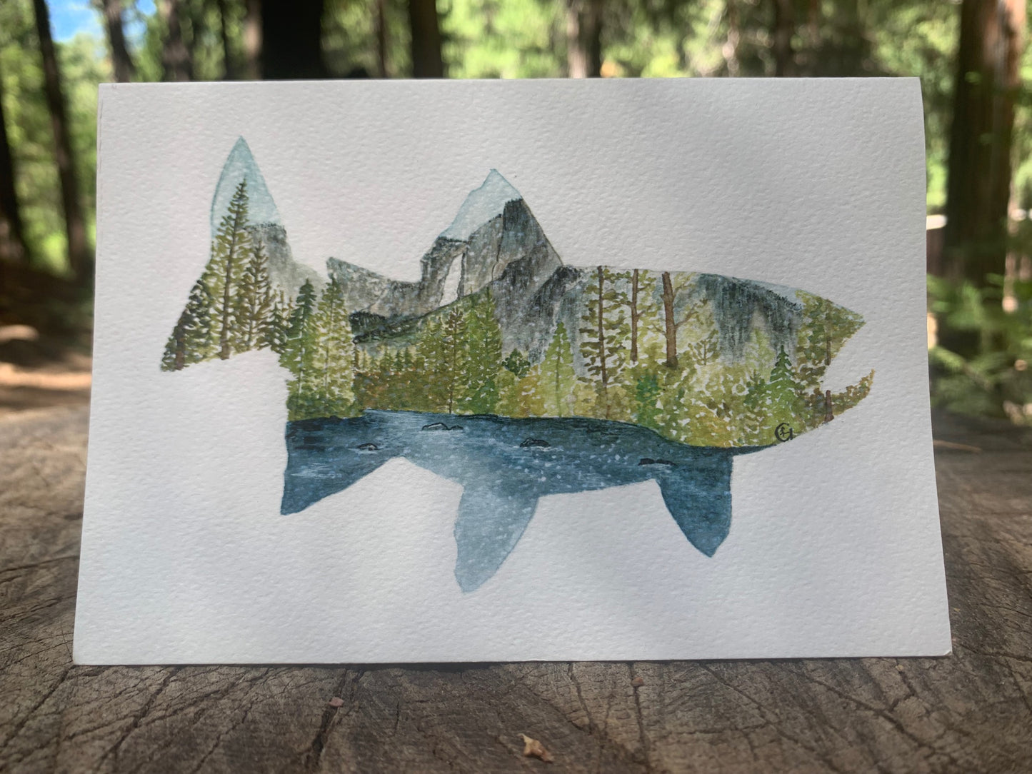 Yosemite Falls Fish Print