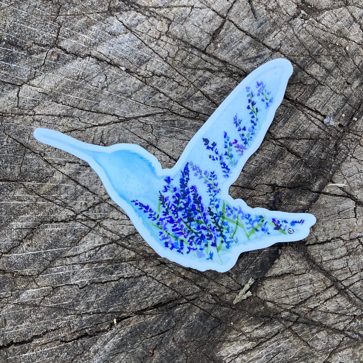 Lavender Hummingbird Sticker