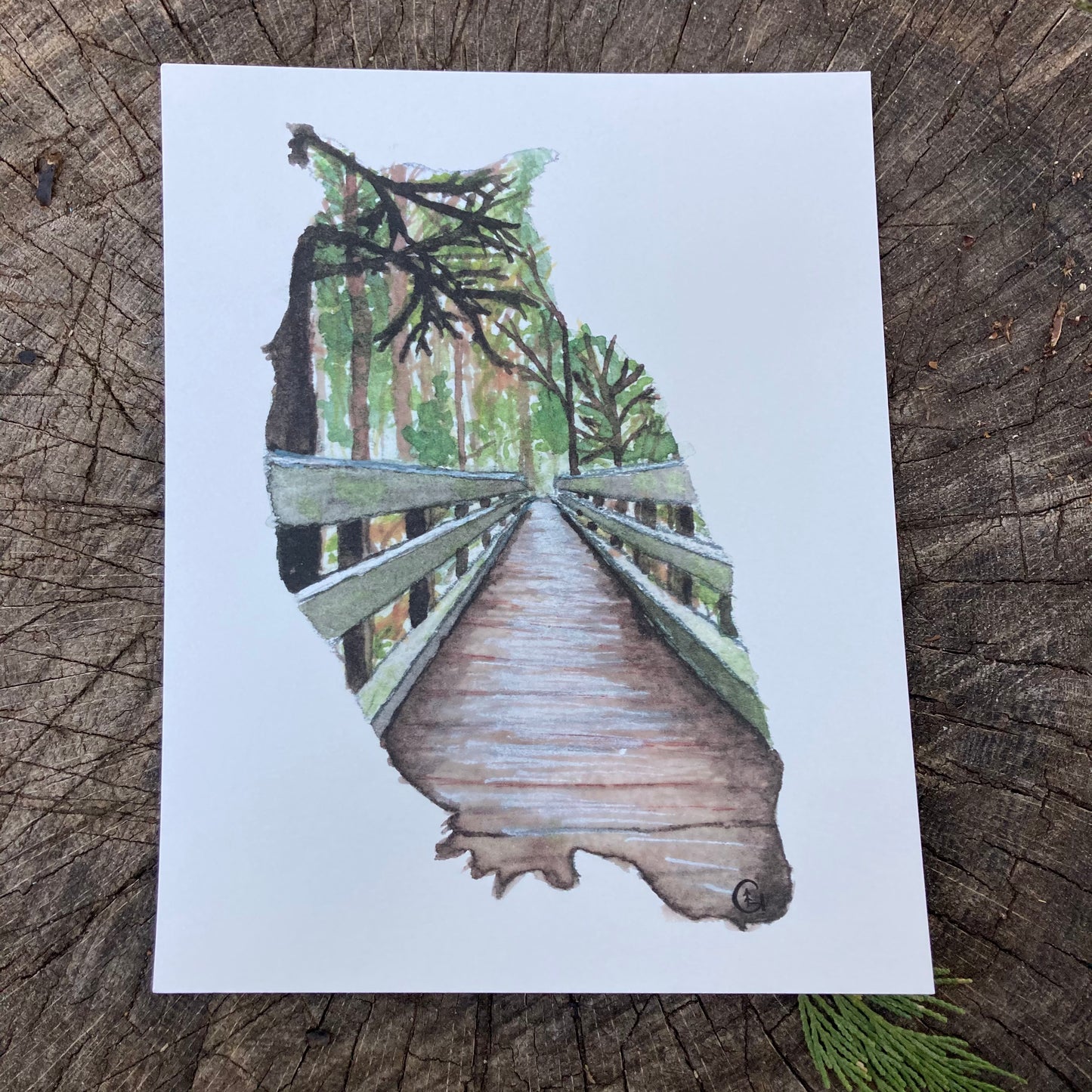 Bridge Owl Print