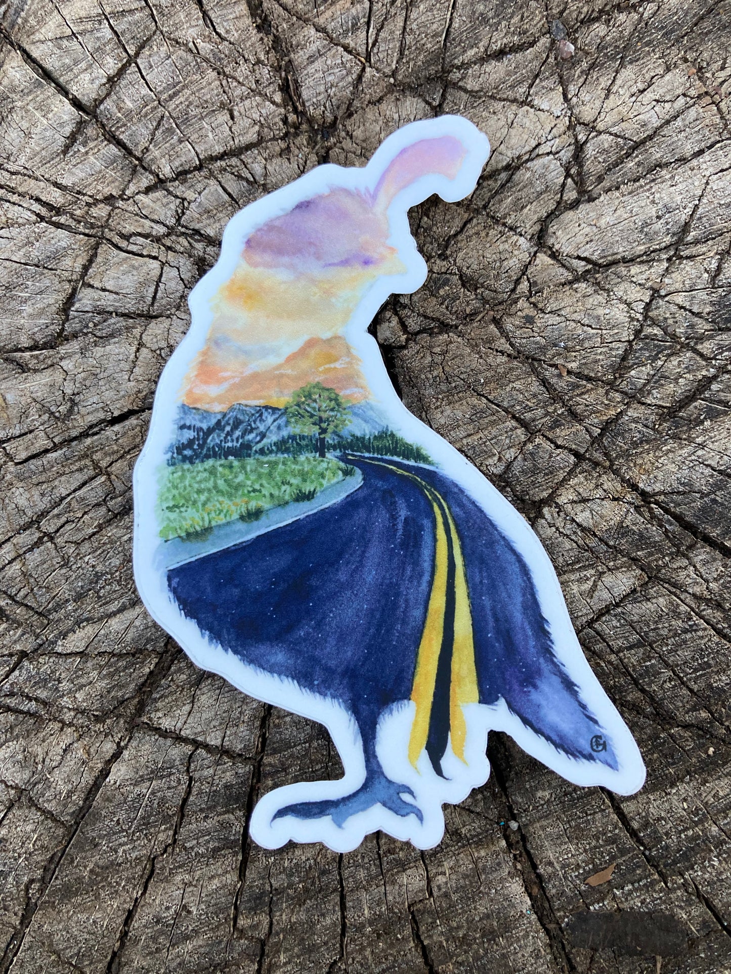 Highway Quail Sticker