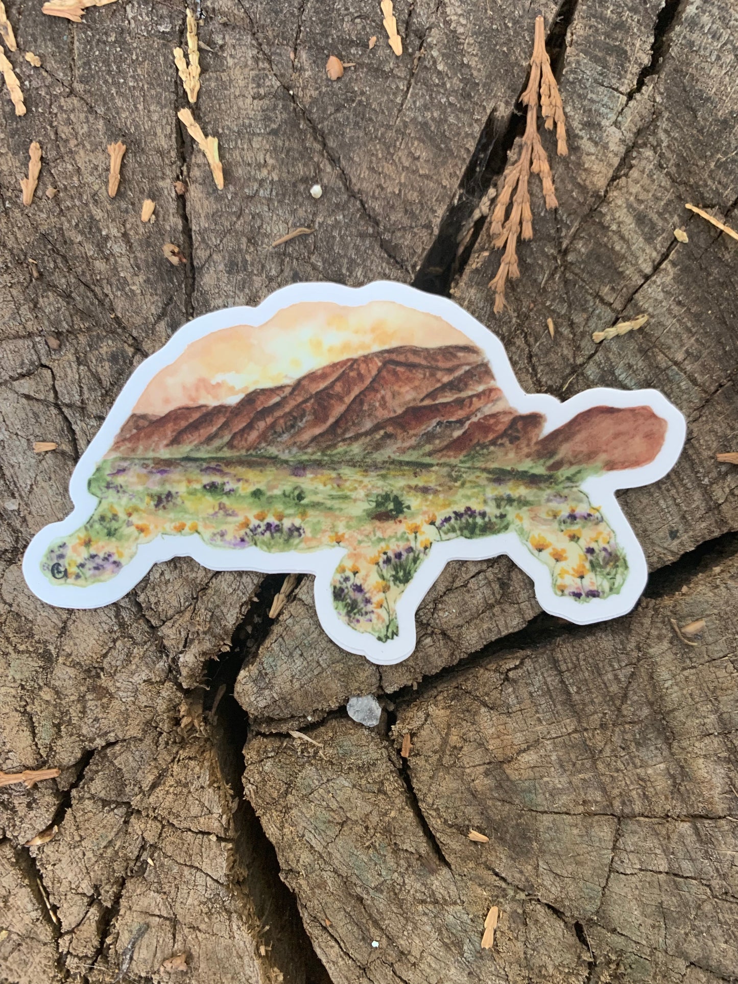 Desert Tortoise Sticker