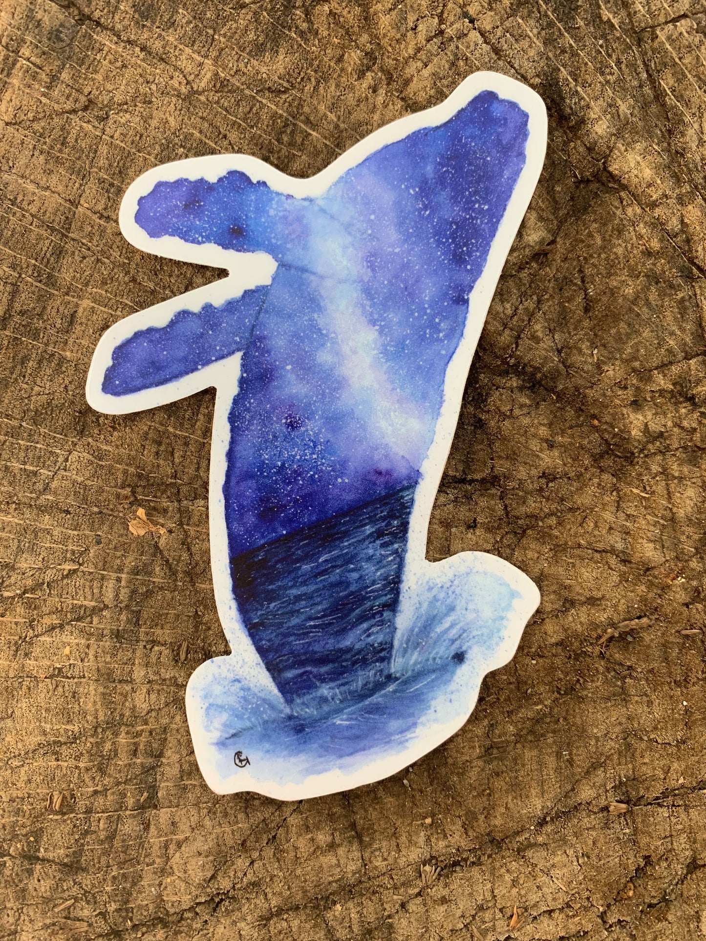Starry Night Whale Sticker