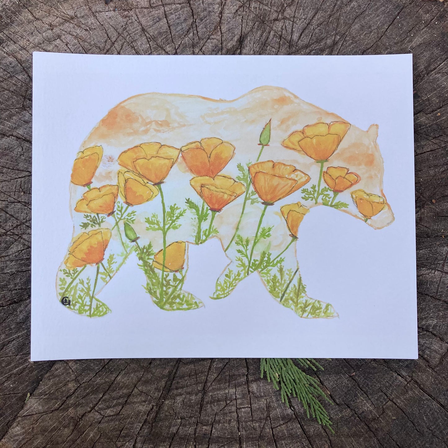 California Poppy Bear Print