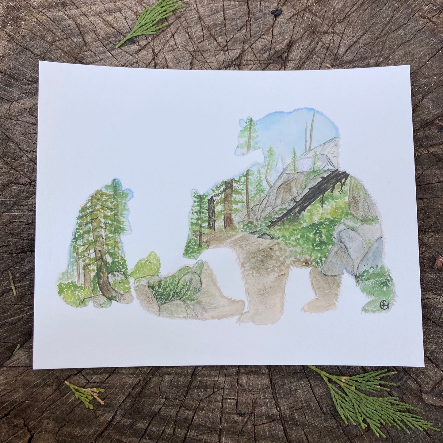 Sierra Bear Family Print