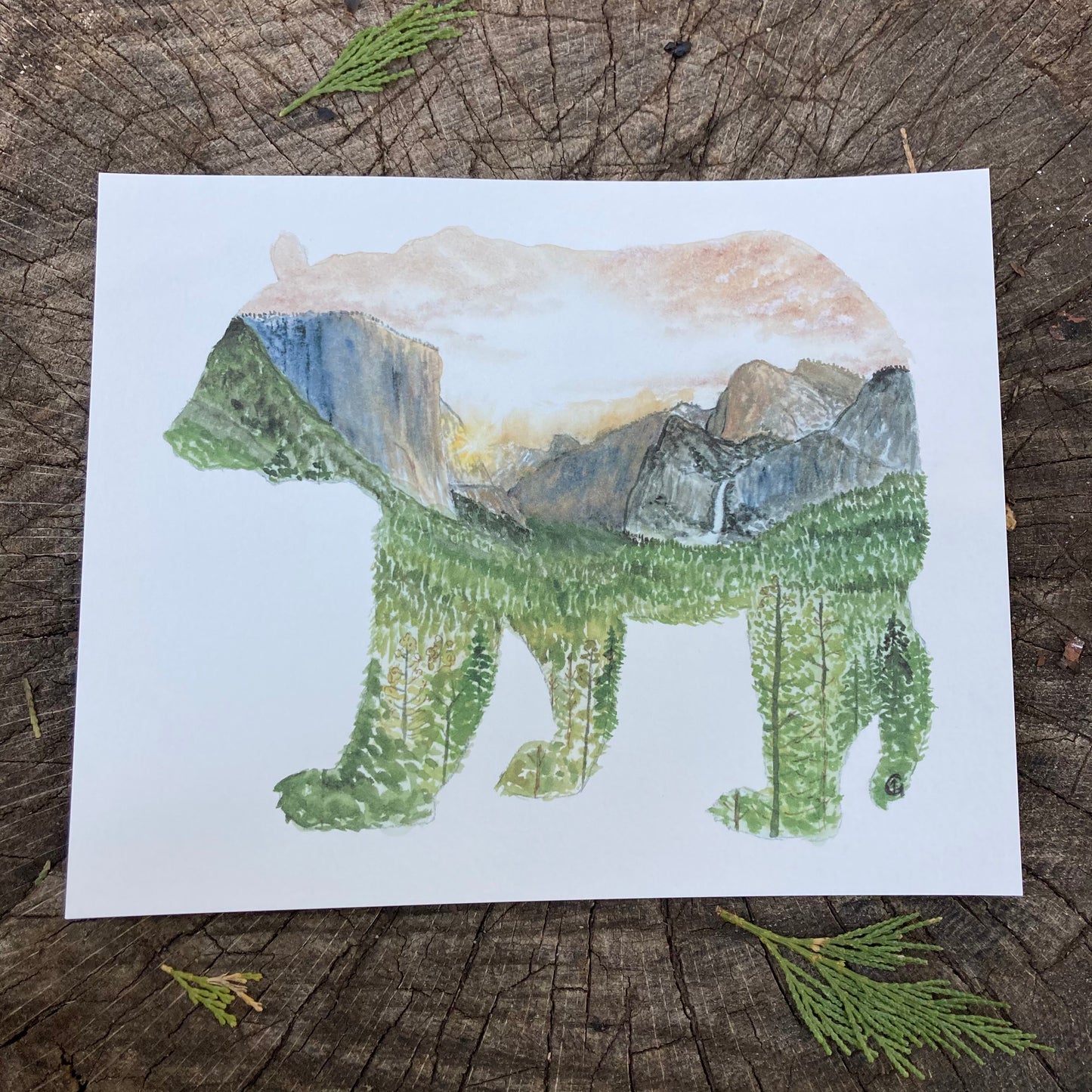 Yosemite Valley Bear Print