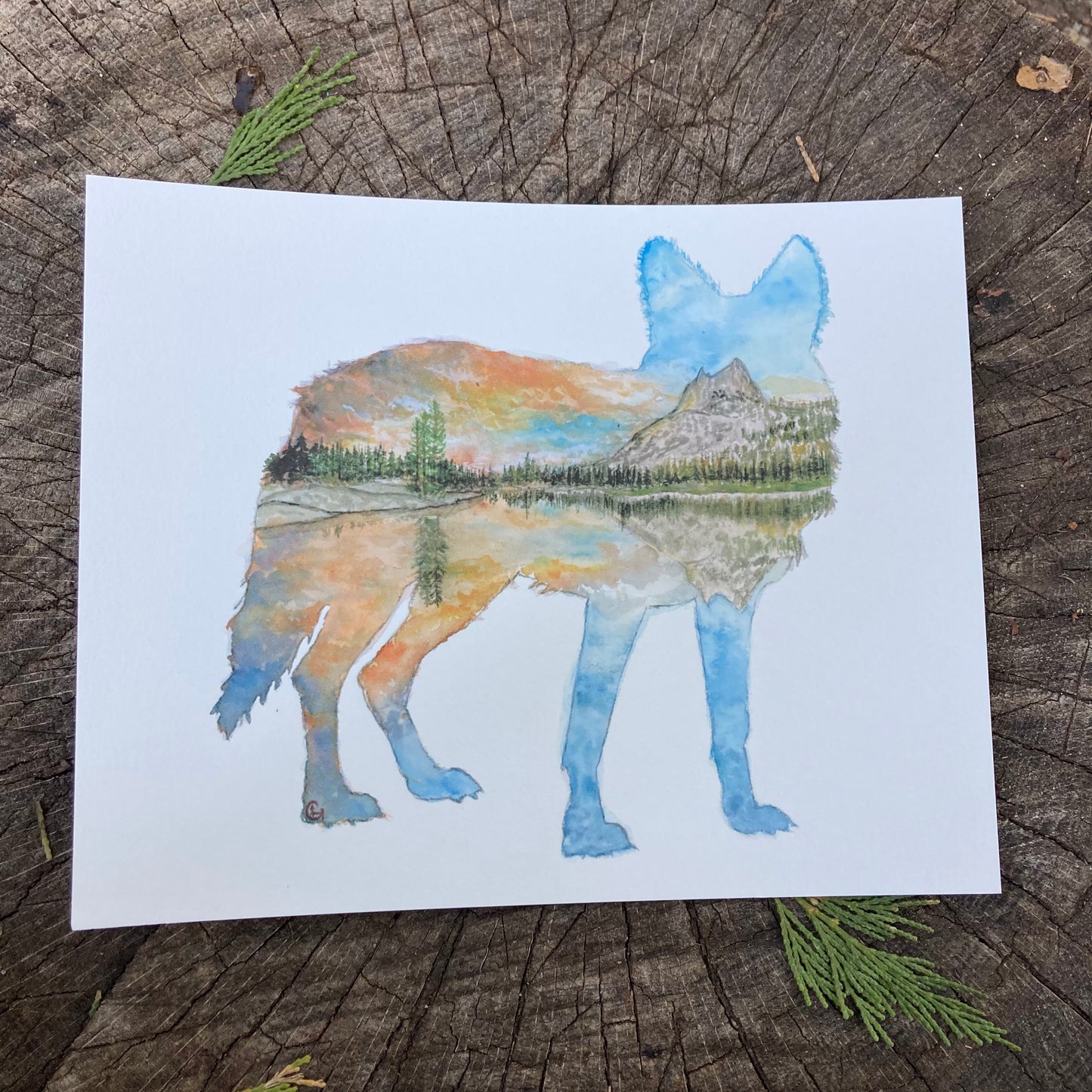 Cathedral Peak Coyote Print