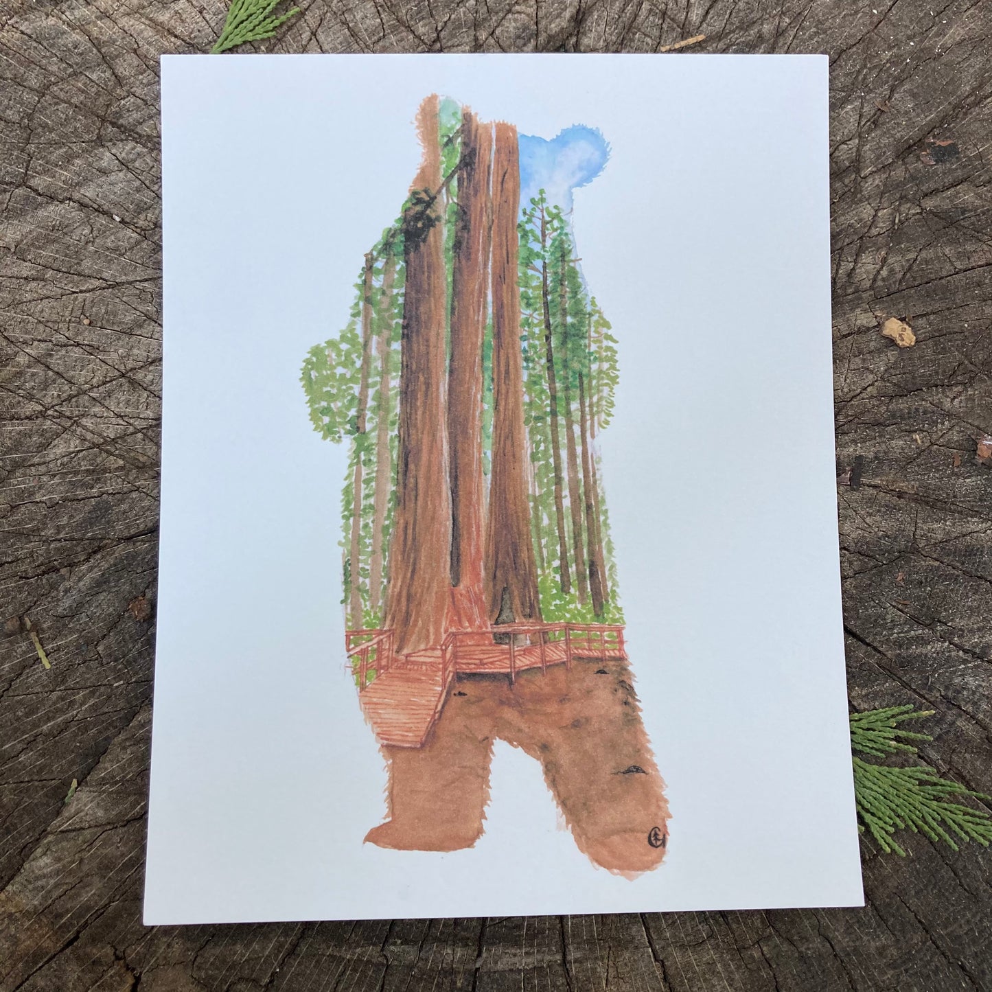Big Trees Bear Print