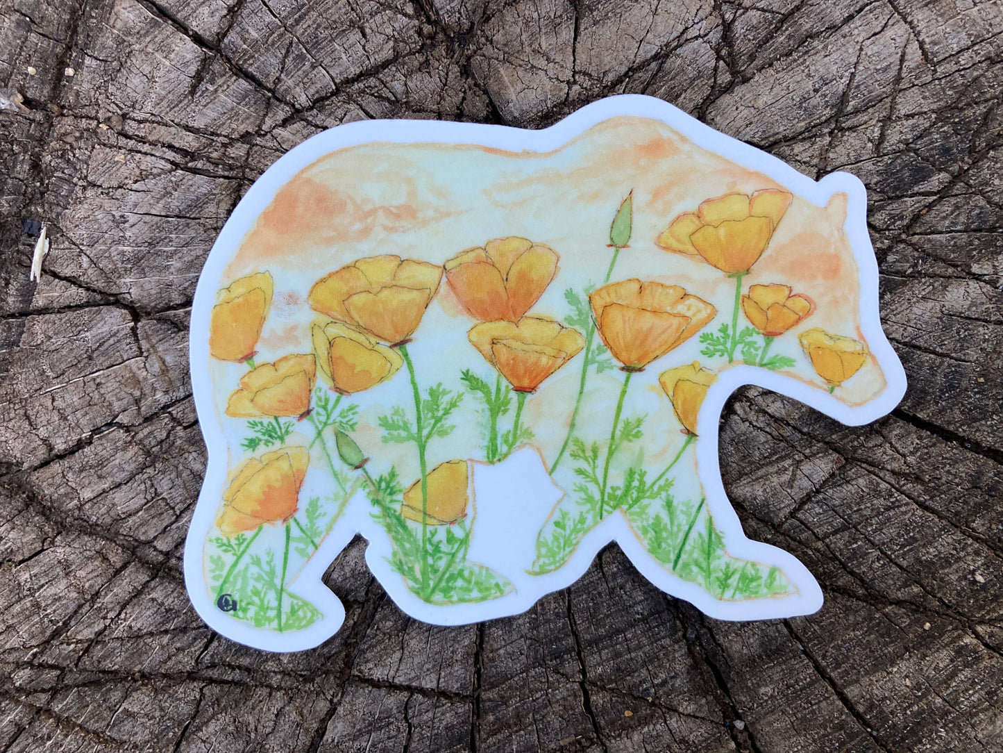 California Poppy Bear Sticker