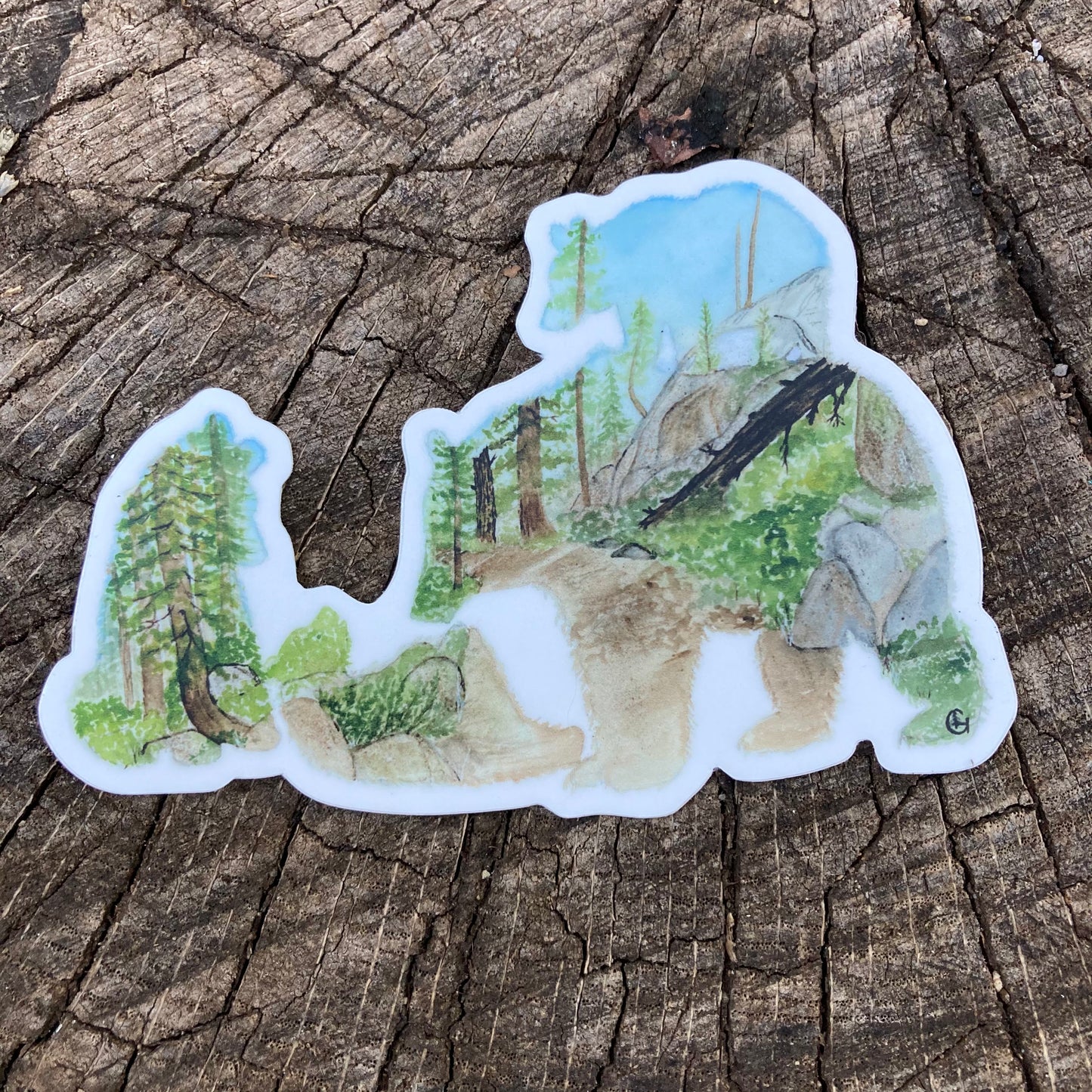 Sierra Bear Family Sticker