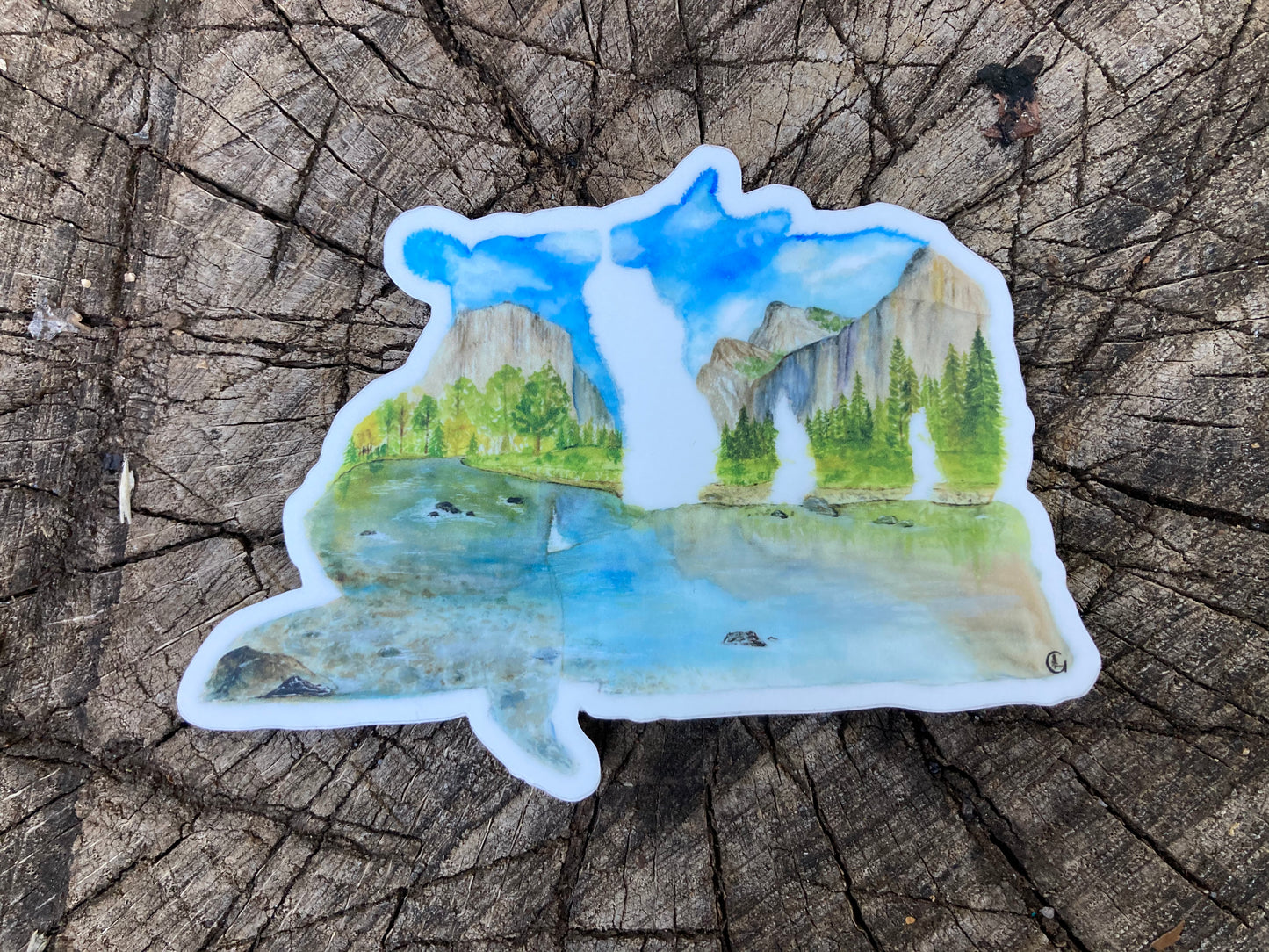 Yosemite Valley Bear Cubs Sticker