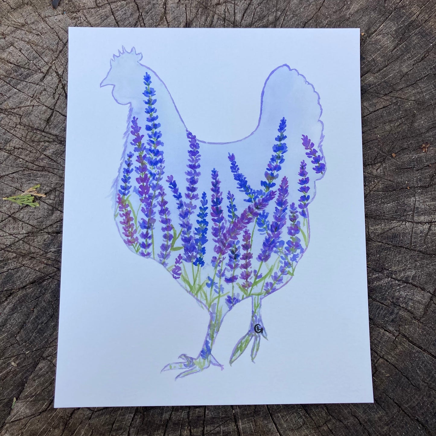 Lavender Chicken Print