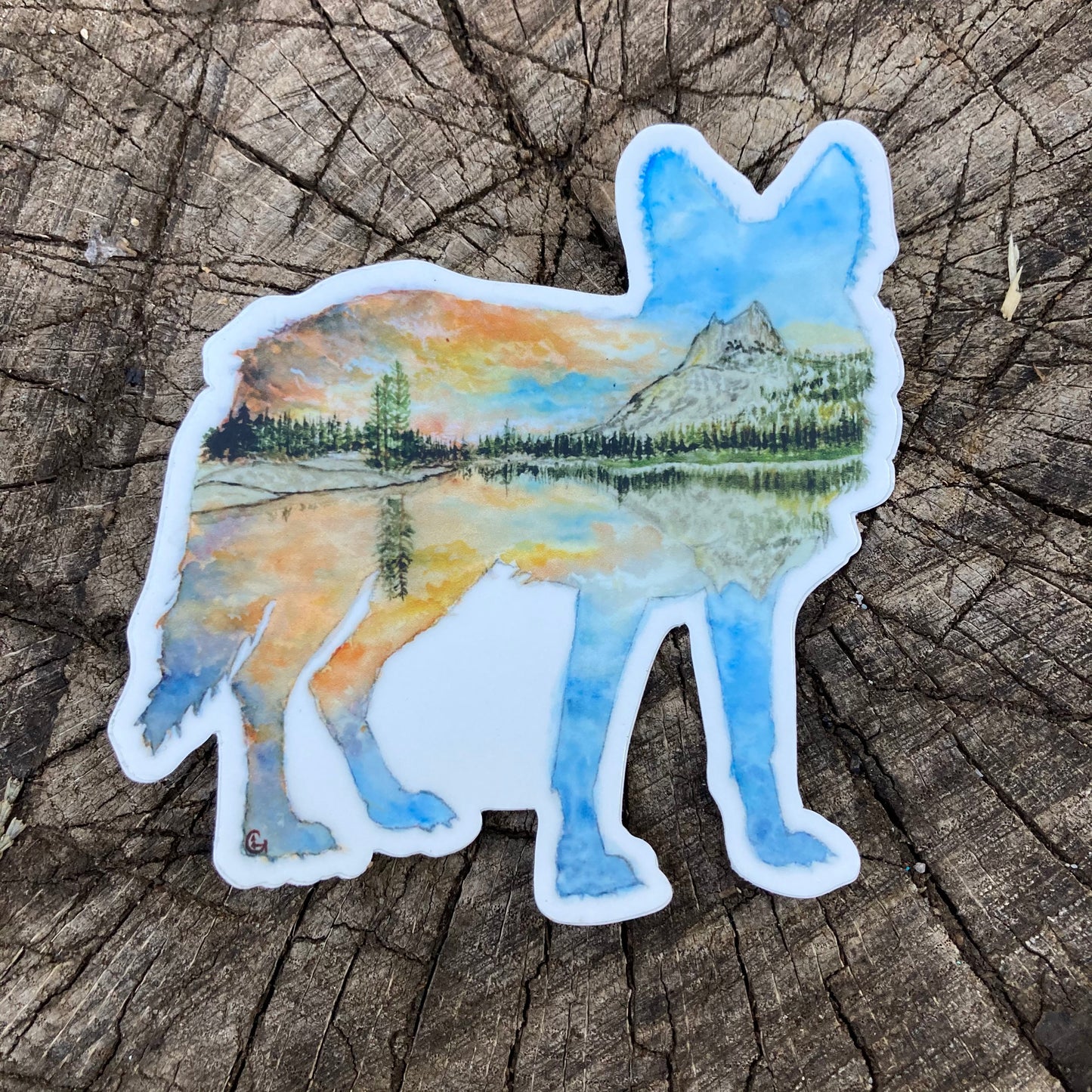 Cathedral Peak Coyote Sticker
