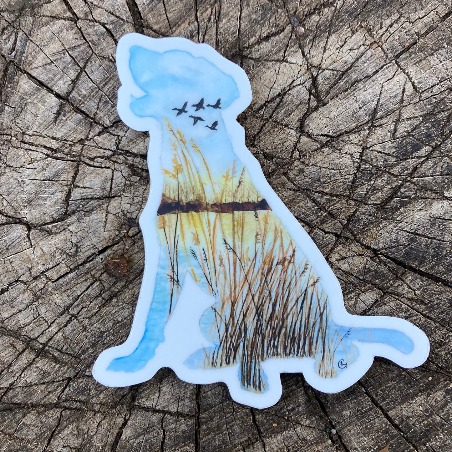 Labrador Pond Dog Sticker
