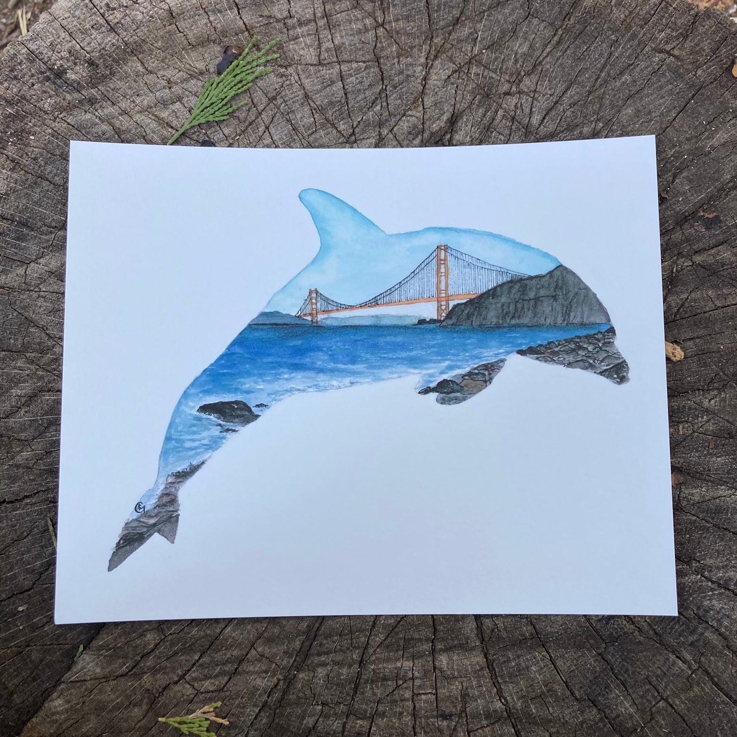 Golden Gate Bridge Dolphin Print