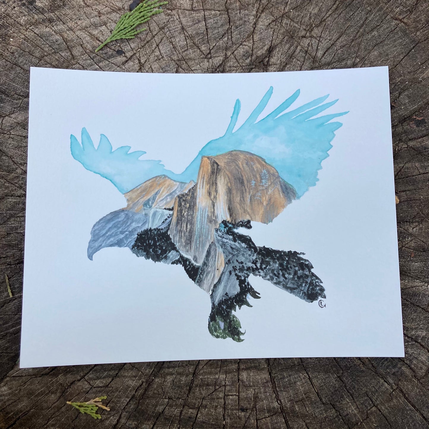 Half Dome Eagle Print