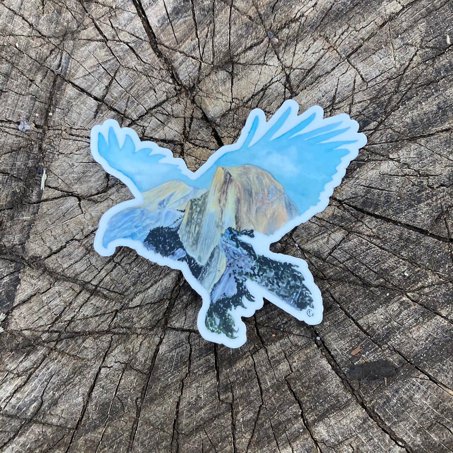 Half Dome Eagle Sticker
