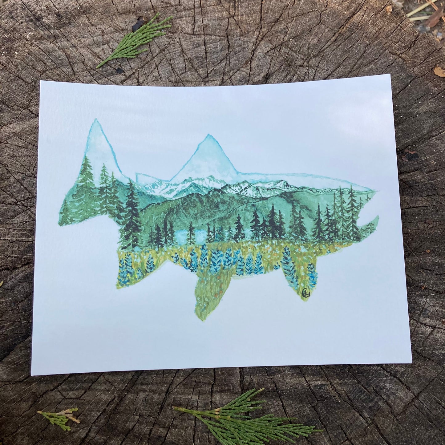 Olympia Washington Fish Print