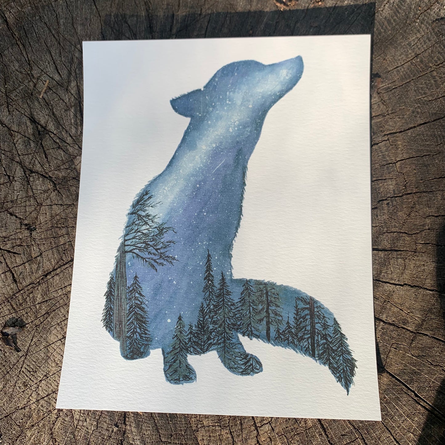 Night Fox Print