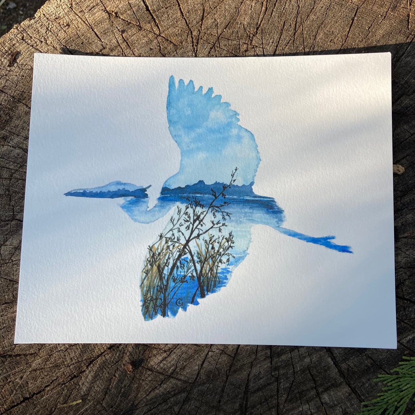 Blue Heron Print