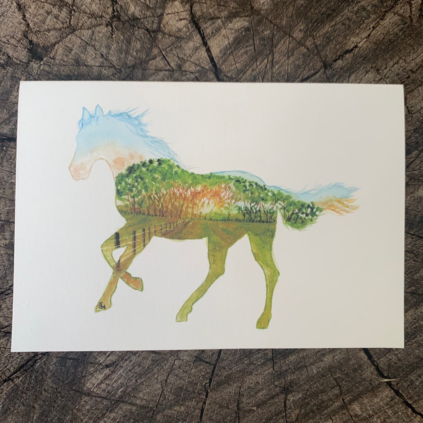 Running Field Horse Print