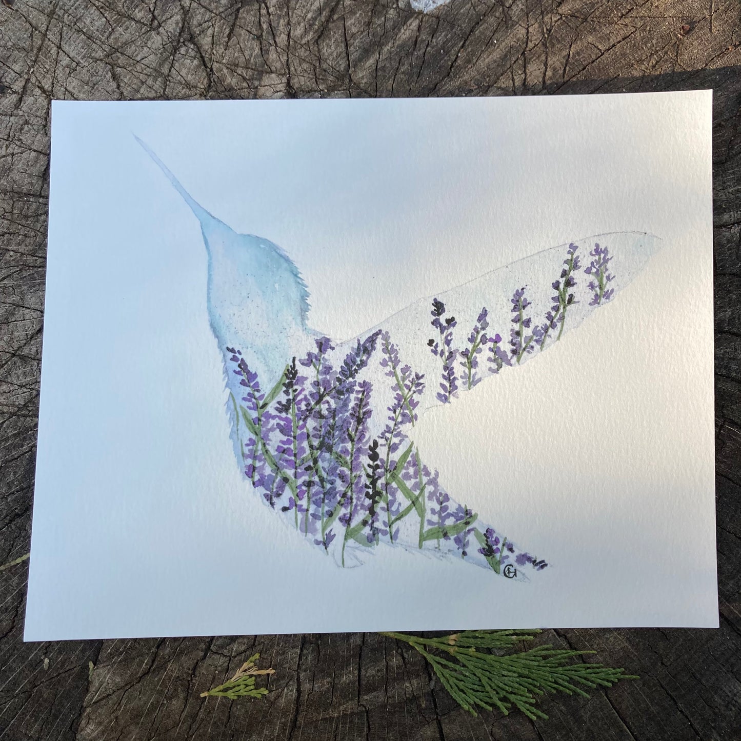 Lavender Hummingbird Print