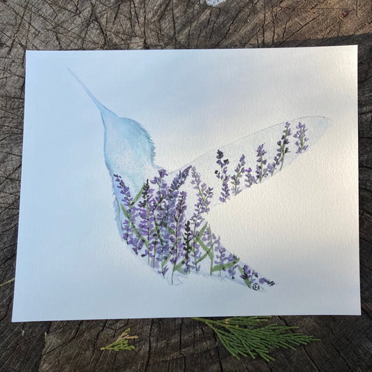 Lavender Hummingbird Print