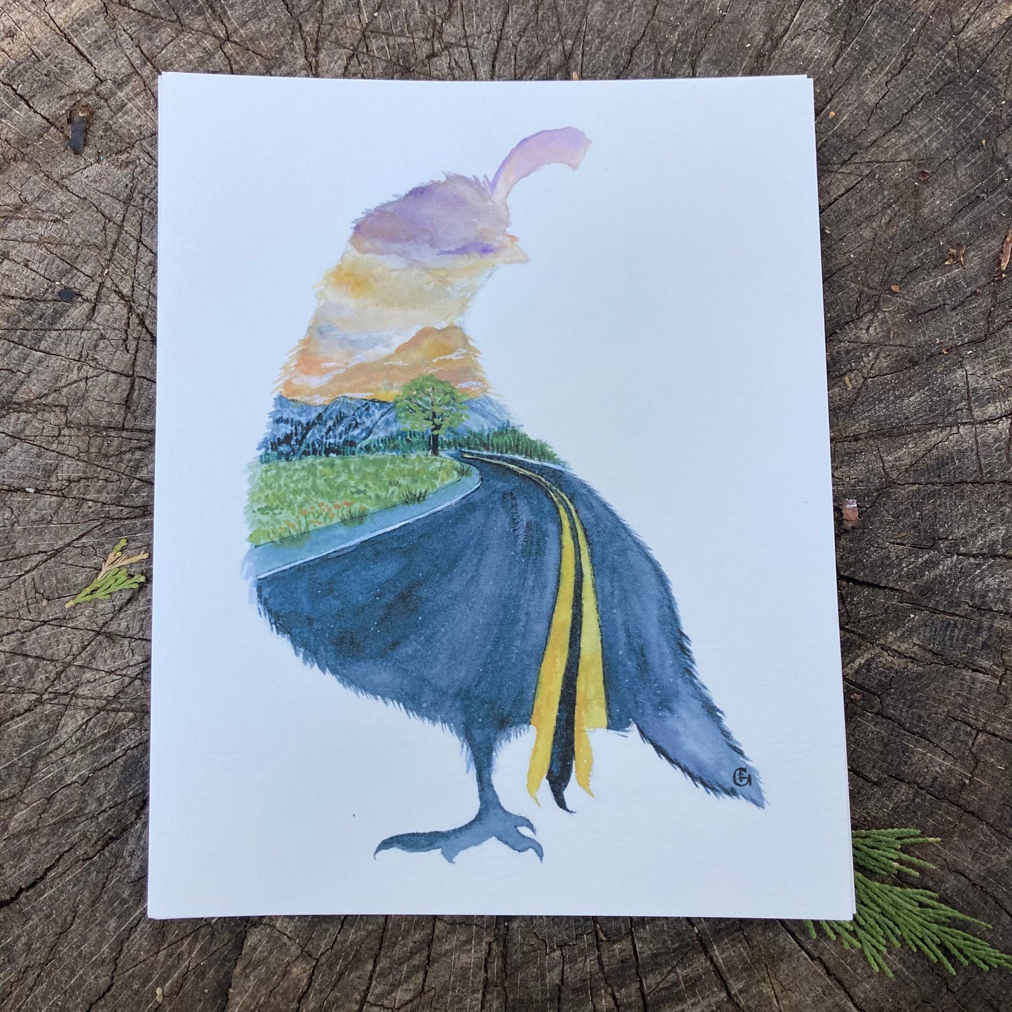 Highway Quail Print