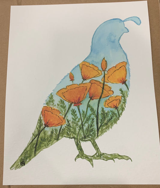California Poppy Quail Print