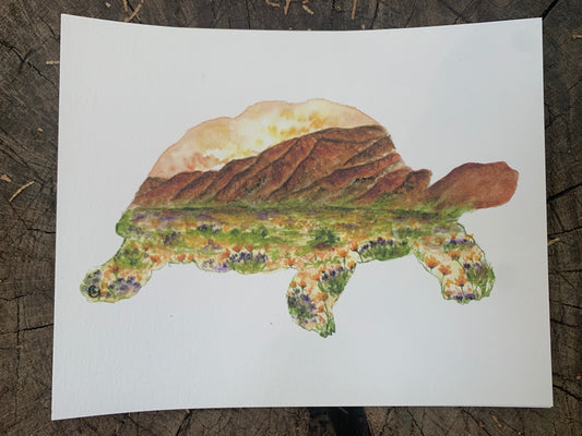 Desert Tortoise Print
