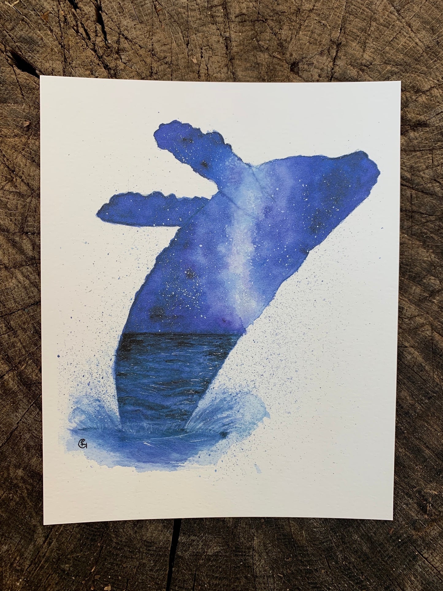 Starry Night Whale Print